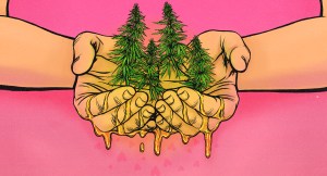 cannabis oil illustration