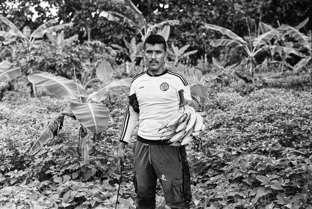 Germán Graciano, líder campesino y representante legal de la Comunidad de Paz, durante una jornada de trabajo comunitario en uno de los cultivos de la comunidad.