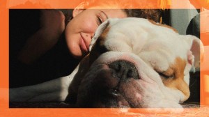 Ein Selfie von der englischen Bulldogge Tito und Alexandra Stanic