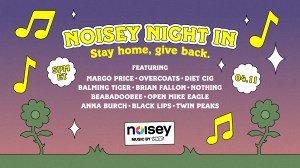 Noisey Night In Poster