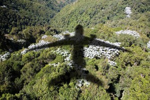 plane over rainforest