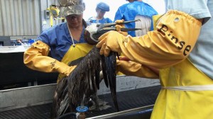 Cleanup workers on the Deepwater Horizon oil spill are still suffering 10 years later.