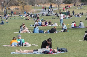 Busy Montreal park