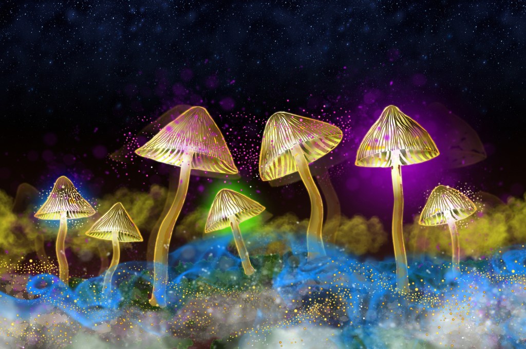 glowing-mushrooms-4807192_1920