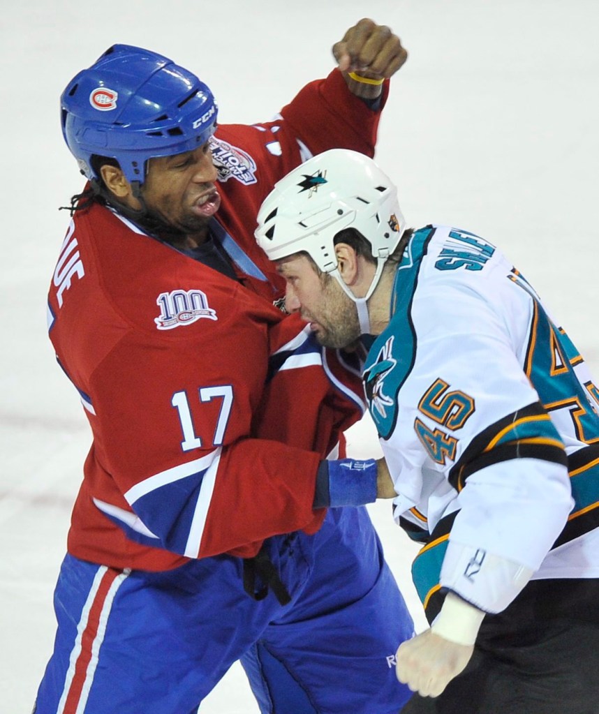 Georges Laraque, fighting, NHL