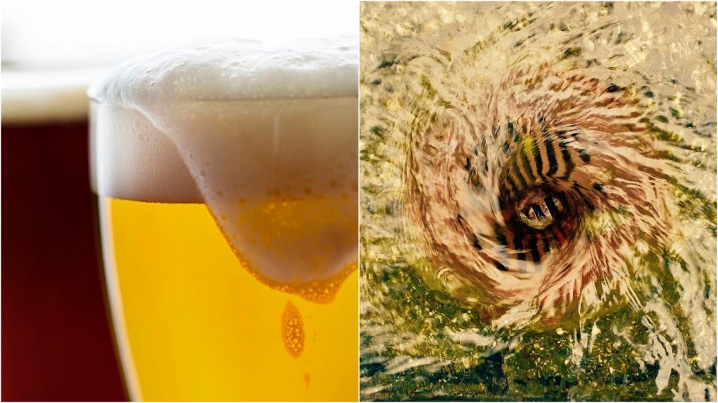 beer and drain