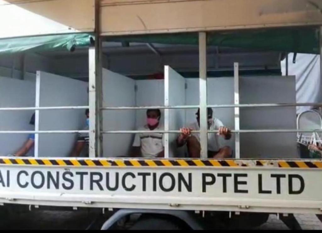 singapore, migrant worker,  lorry, animal, cage, coronavirus