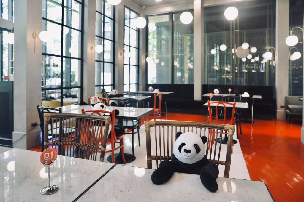 stuffed toy, panda, thailand, restaurant, social distancing, coronavirus