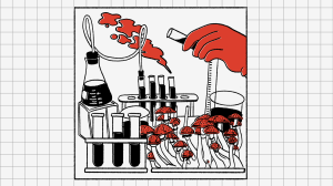 paddo's en pillen in een lab