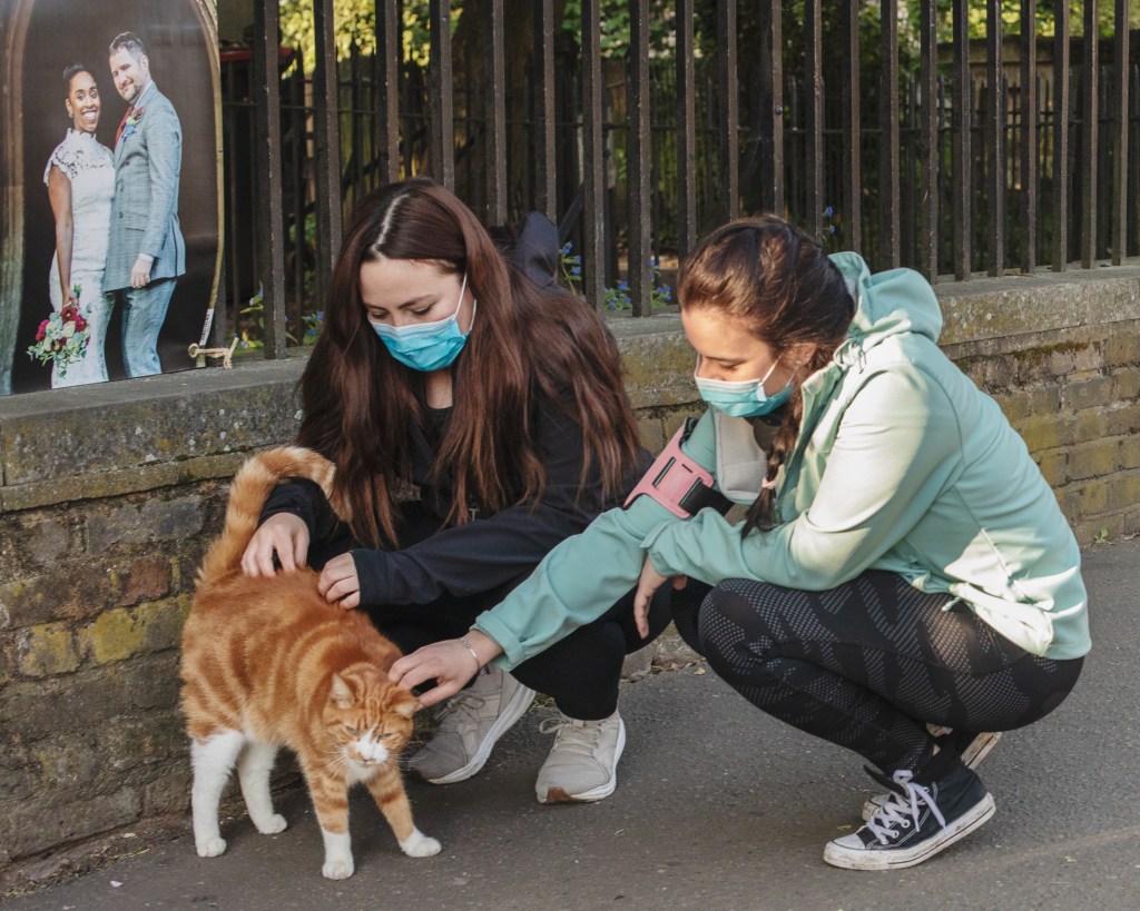 Dua perempuan bermasker mengelus kucing oren