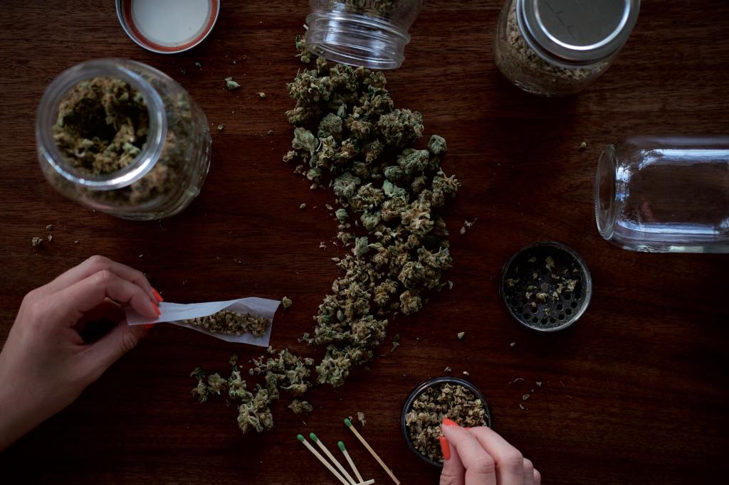 Everything You Know About What Makes Your Weed Potent May Be Wrong