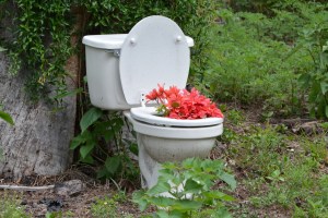 toilet putih di dekat batang pohon, tampak bunga mekar dari dalam toilet.