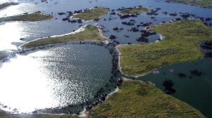 The World’s Largest Tropical Wetland Is on Fire