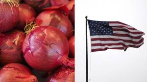 Public health officials are warning Canadians to throw away dangerous red onions that were shipped north from the United States.