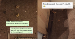 Disabled Renter Faces Eviction After Complaining About Mushrooms Growing in Bedroom