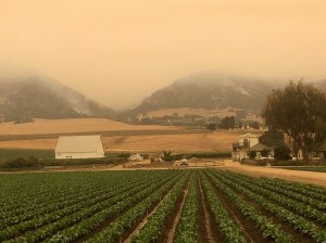 Climate Crisis and Pandemic Collide in California's Raging Wildfire Season