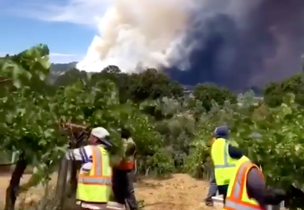 Imagen de un video que muestra a trabajadores agrícolas junto a una columna de humo provocada por un incendio forestal