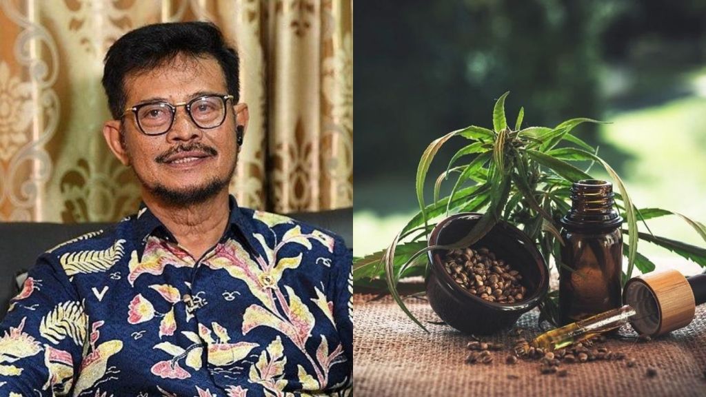 Mentan Syahrul Yasin Limpo Batal Masukkan Ganja Dalam Tanaman Binaan untuk Pengobatan