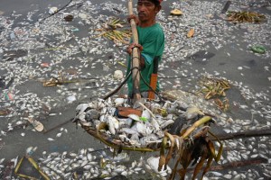 manila bay pollution