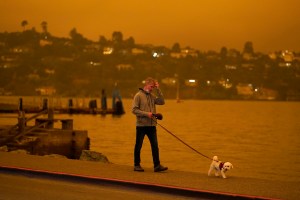 AP Photo/Eric Risberg