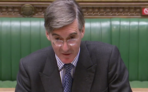 Jacob Rees-Mogg 'endless carping' about covid desting