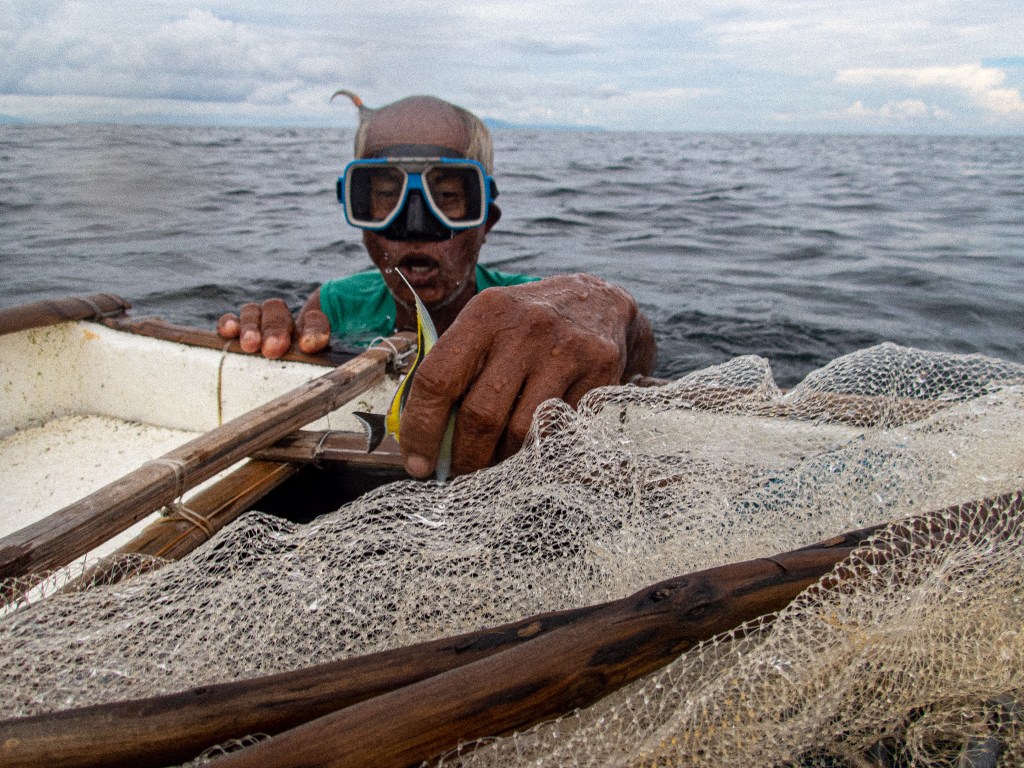 filipino-fishers-catch-aquarium-clownfish-philippines-negative-environment-effects