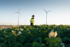 Green Washing italia ARC_Getty_1125577736_sky_environmental_VICE_RF