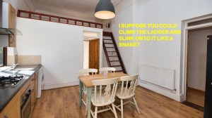 London Rental Opportunity VICE