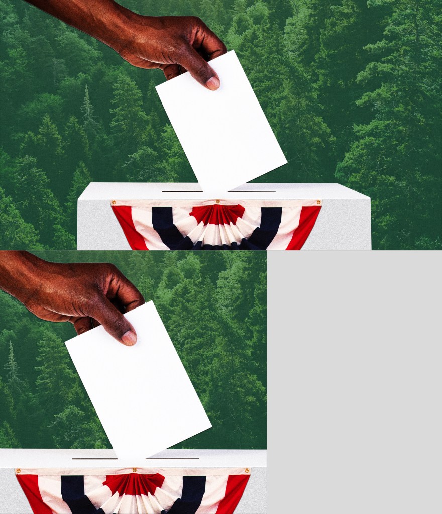 Hand dropping ballot in box in front of forest background