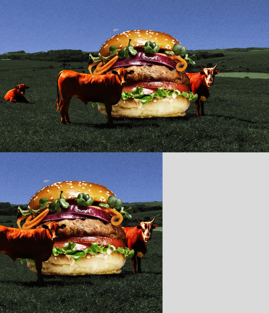 a collage of cows in a pasture next to a plant-based burger