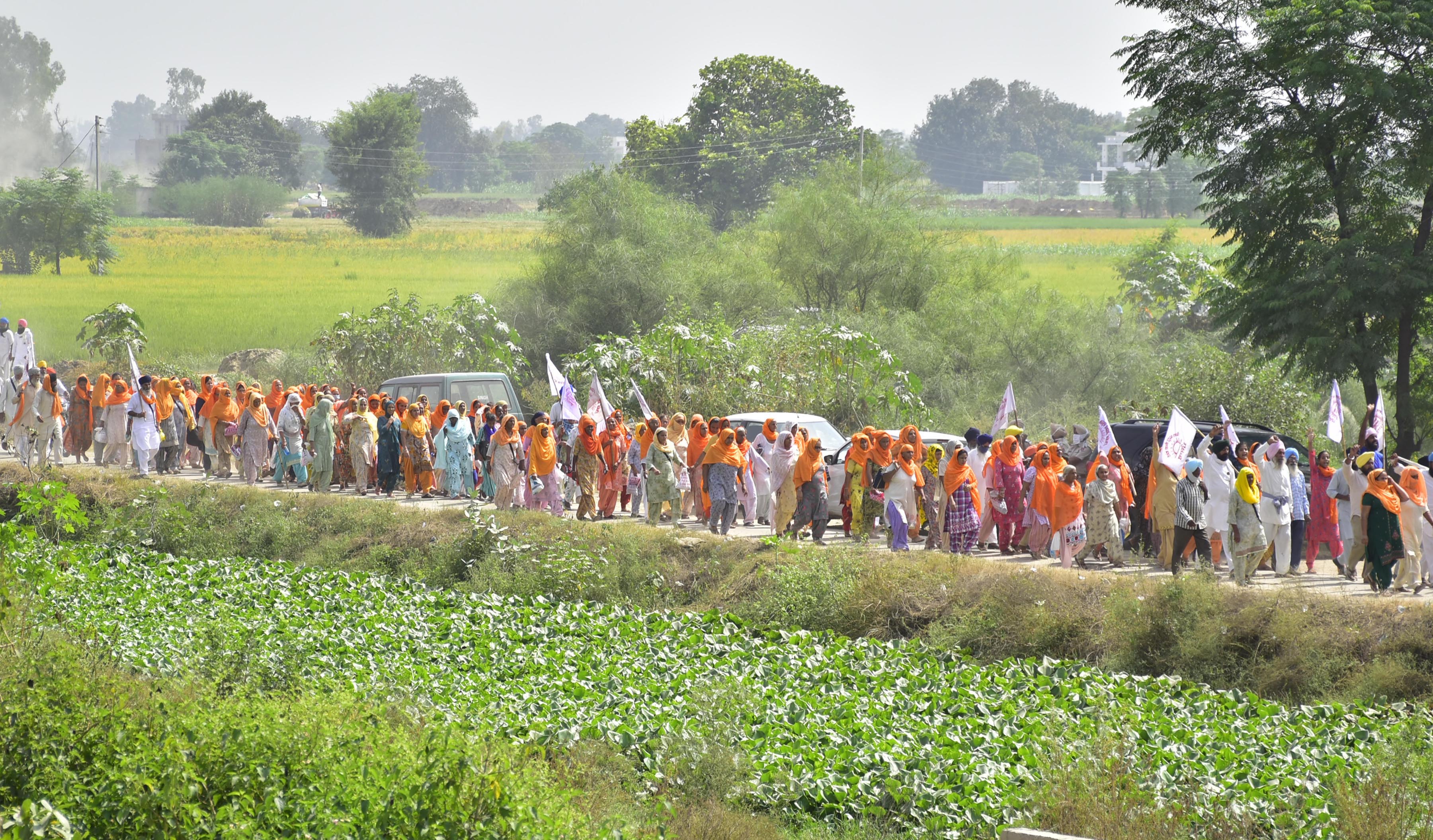 indian farmer protest world news