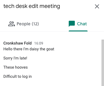 Daisy the goat, chatting in our meeting.