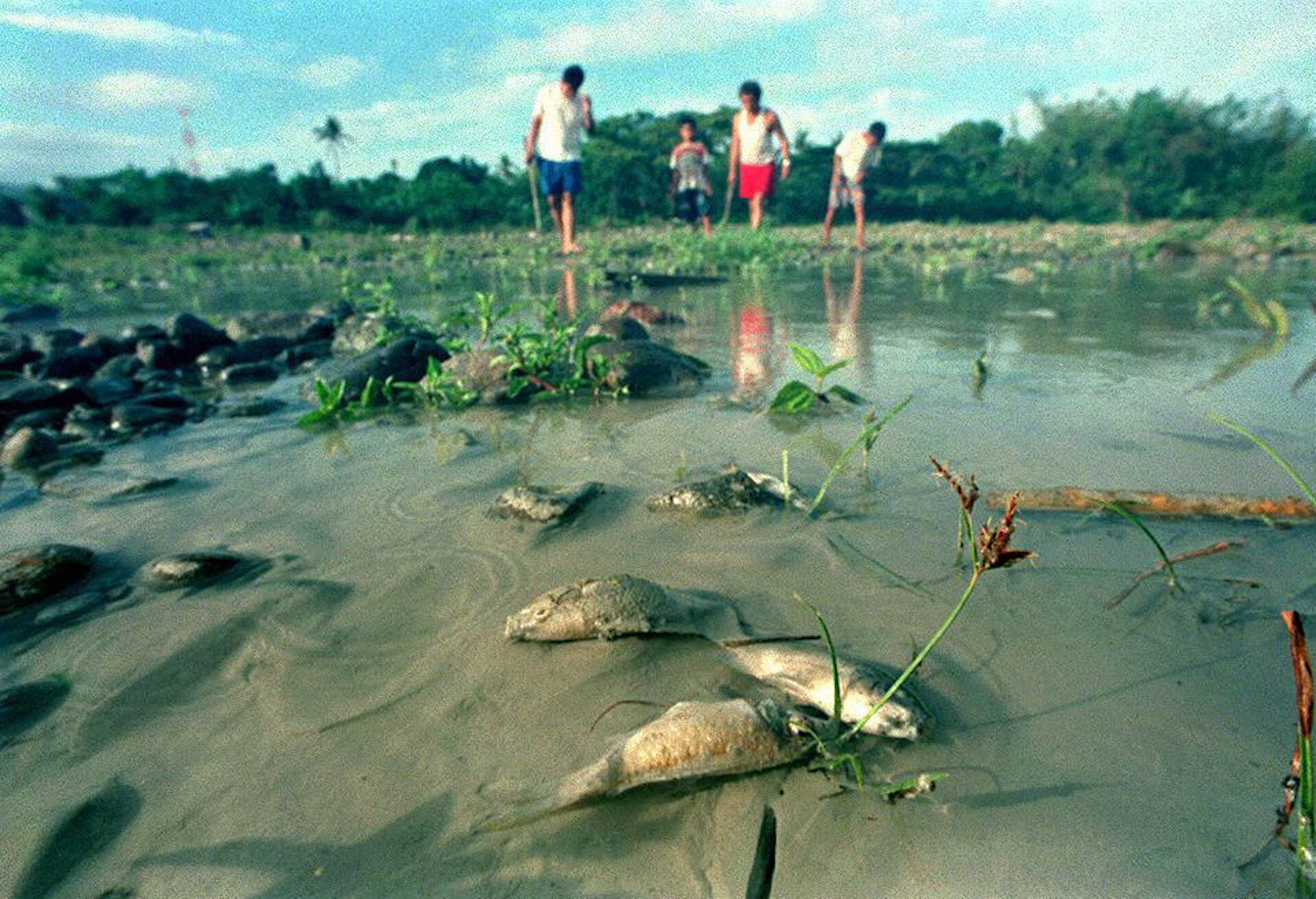 Locals inspect the Boac River in April 1996, days after the Marcopper mining disaster. Photo by Romeo Gacad/AFP via Getty Images