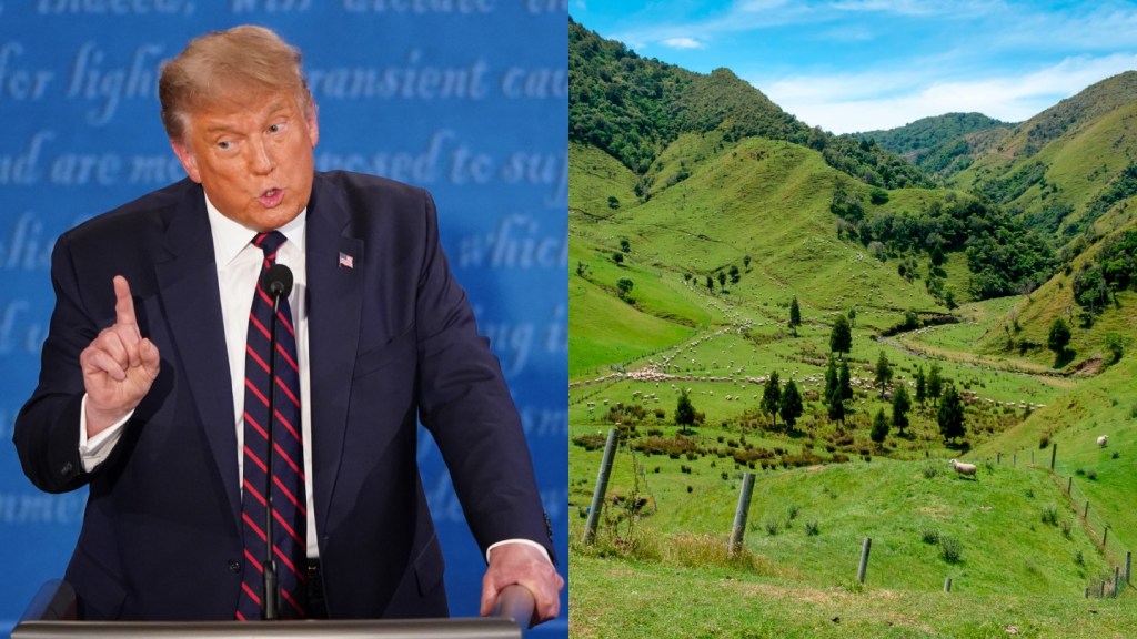 Trump and New Zealand