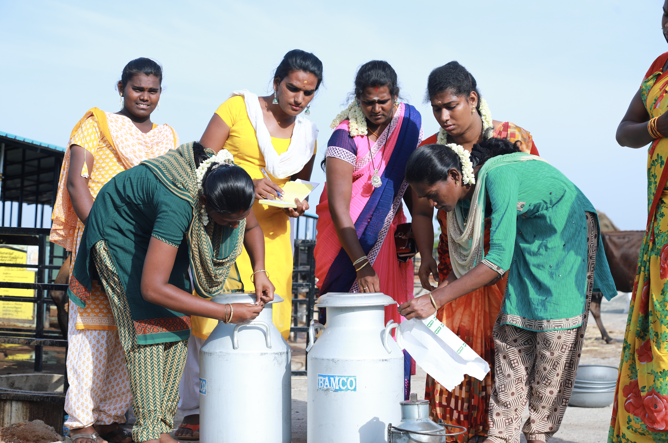 Women from Sandeep Nagar put milk into canisters.