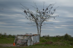 Guernica, argentina, covid