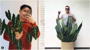 plant_influencer