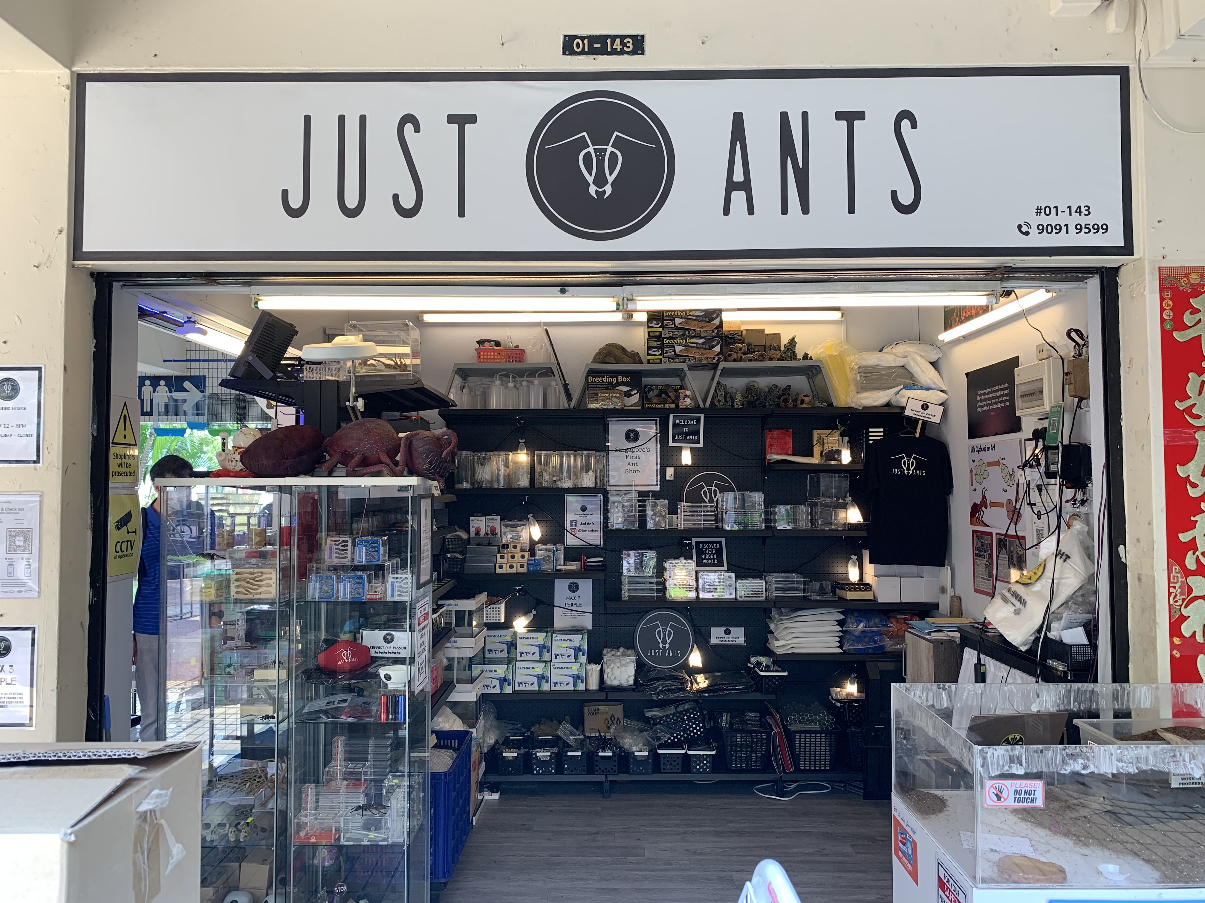 singapore-man-quit-job-sell-ants-hobby