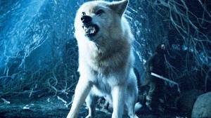 Game-Of-Thrones-Season-8-Ghost-the-Direwolf-Is-the-Best-Choice-for-the-Iron-Throne