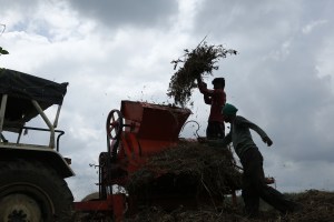 climate change, India, cremation, funeral pyre