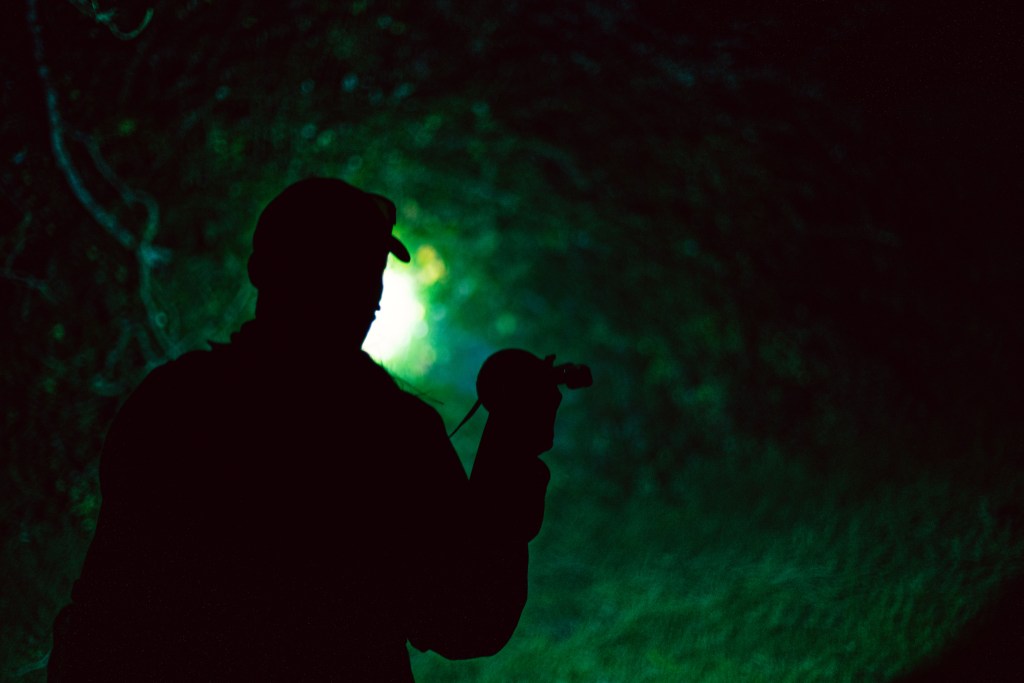 Underground Badger Syndicate​ activists on the look-out for famers taking part in the badger cull in the south west of England.