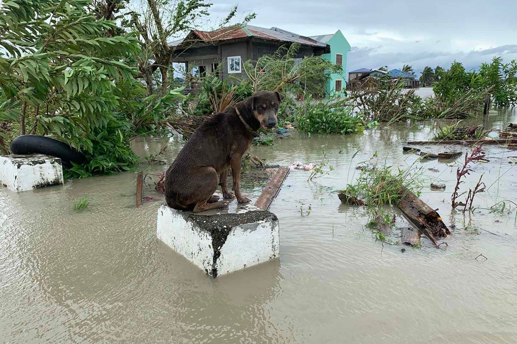 Typhoon Molave