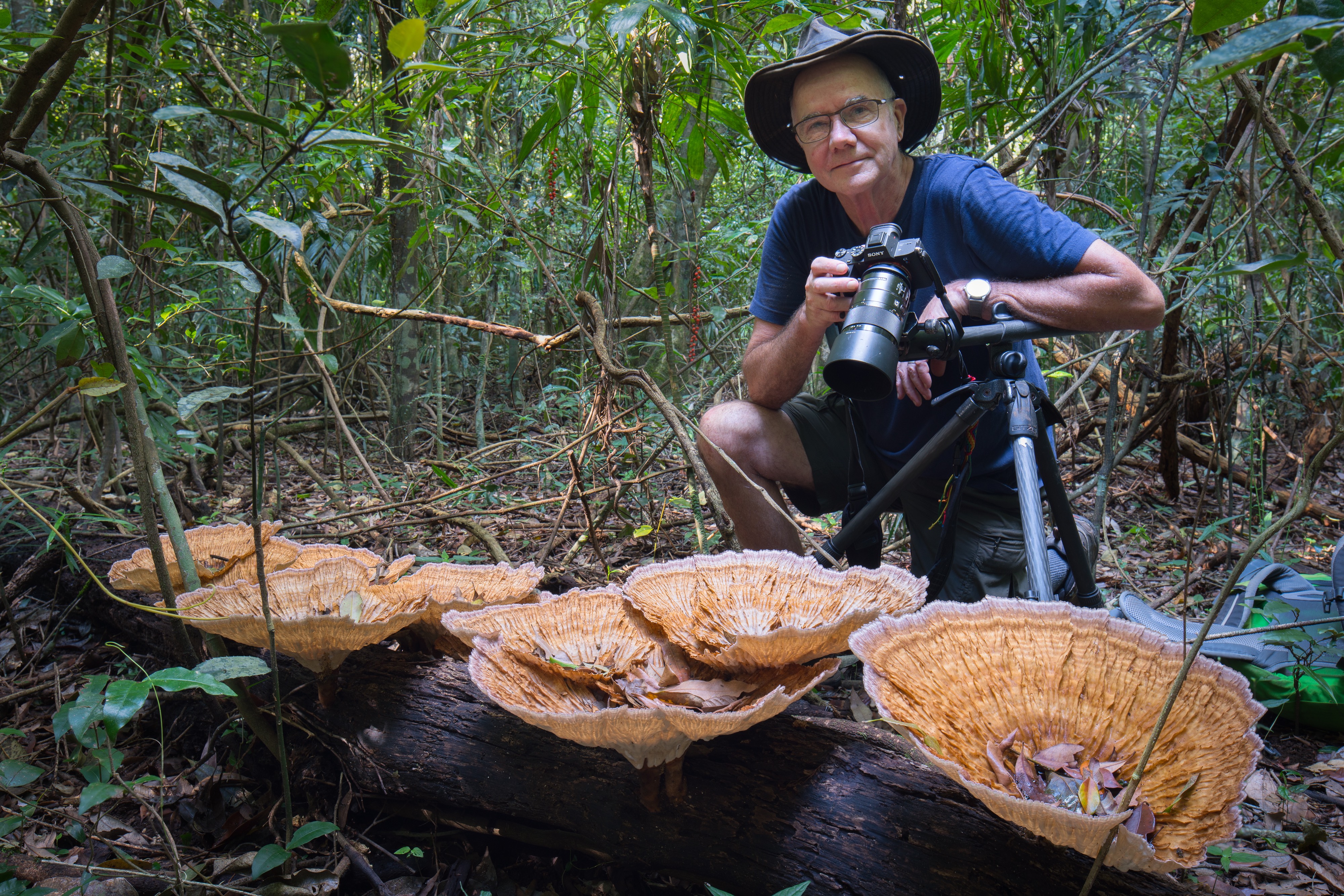 Stephen Axford internationally acclaimed fungi photographer.jpg