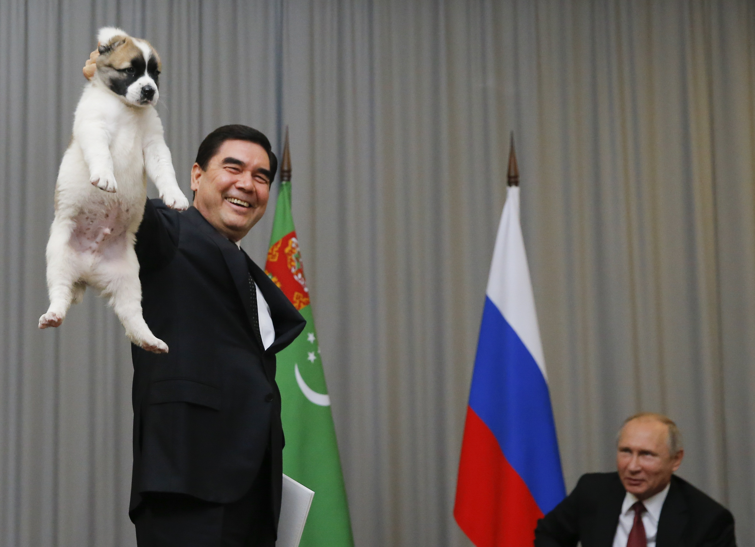 Not the way anyone should hold a puppy. Credit: MAXIM SHEMETOV / POOL / AFP