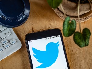 A Twitter logo displayed on a smartphone (Photo by Valera Golovniov / SOPA Images/Sipa USA)(Sipa via AP Images)​