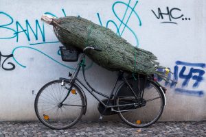 Ein Baum steht auf einem verlassenen Fahrrad, wir habewegen des Lockdowns Weihnachten ausfällt