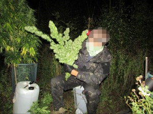 Guerrilla weed grower