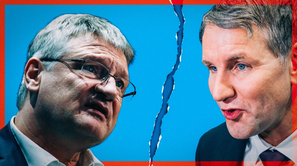 Die Streithähne Björn Höcke und Jörg Meuthen und ein Riss