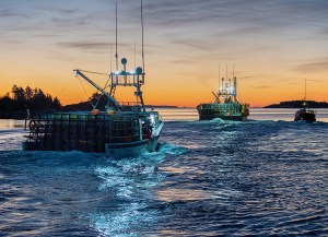 Boats loaded with traps head from the harbour in West Dover, N.S. on Monday, Nov. 30, 2020 as the lucrative lobster fishing season on Nova Scotia's South Shore opens.