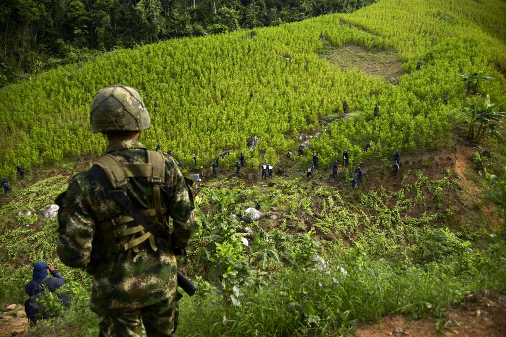 A Colombian soldier provides security to peasants working in the eradication of coca plantations in the mountains of Yali municipality, northeast of Medellin, Antioquia department, on September 3, 2014.